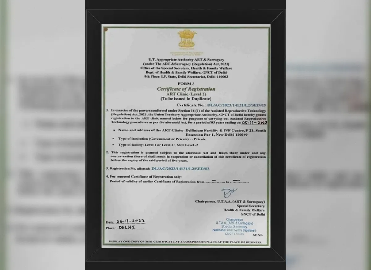 Certificate 6