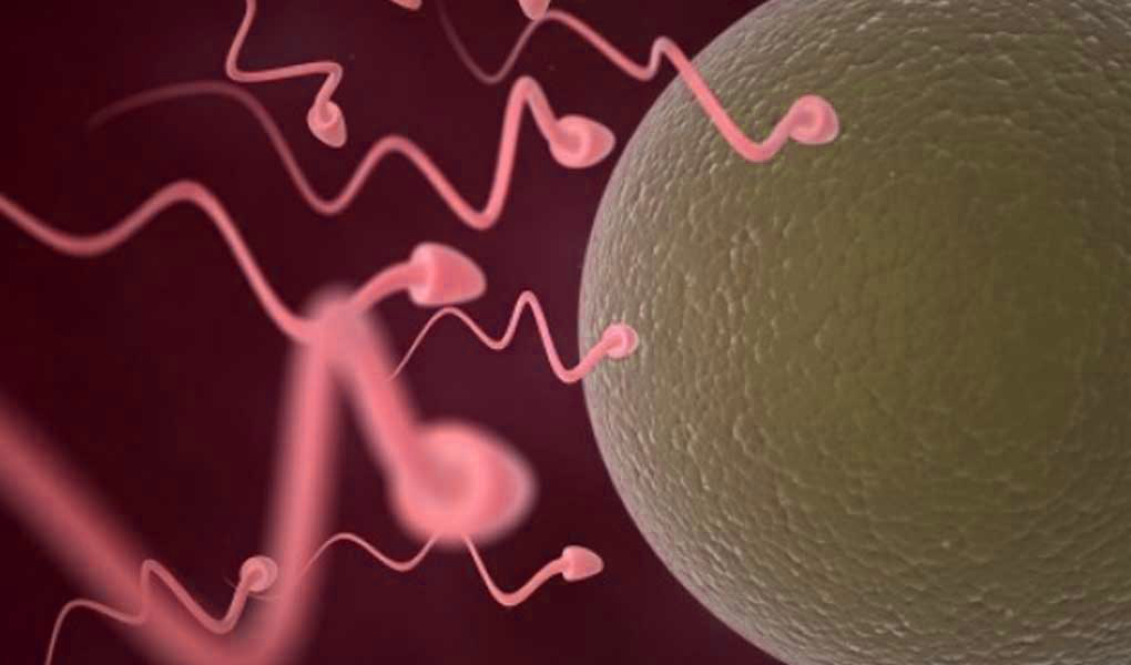 Azoospermia Treatment in Delhi