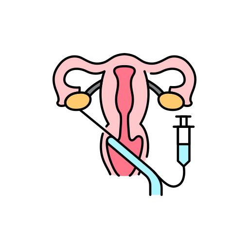 Oocyte Donation
