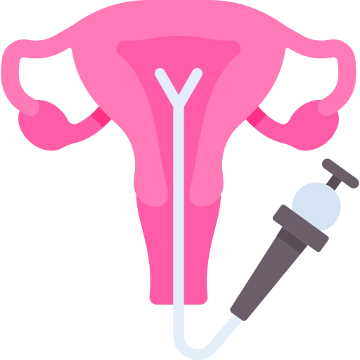 Hysteroscopy