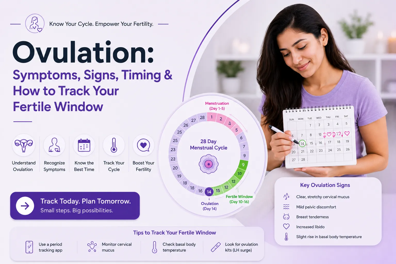 Ovulation: Symptoms, Signs, Timing & How to Track Your Fertile Window