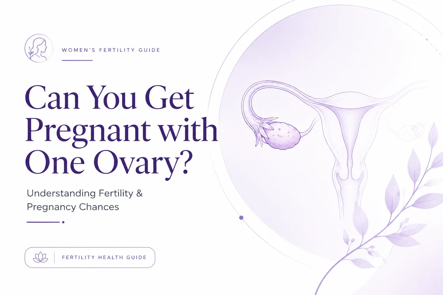 Can You Get Pregnant with One Ovary?